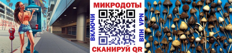 Псилоцибиновые грибы мицелий  Купить  Шахты 